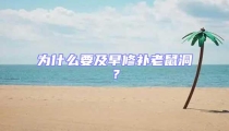 為什么要及早修補(bǔ)老鼠洞？