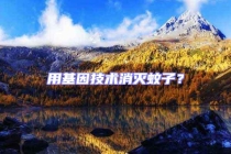 用基因技術消滅蚊子？