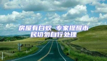 房屋有白蟻 專家提醒市民切勿自行處理
