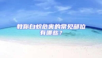 教你白蟻危害的常見部位有哪些?