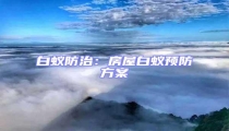 白蟻防治:房屋白蟻預防方案
