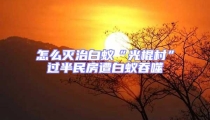 怎么滅治白蟻“光棍村”過半民房遭白蟻吞噬