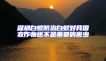 深圳白蟻防治白蟻對我國農(nóng)作物還不是重要的害蟲