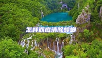 怎樣徹底清除蟑螂