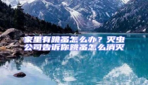 家里有跳蚤怎么辦?滅蟲公司告訴你跳蚤怎么消滅