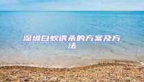 深圳白蟻誘殺的方案及方法