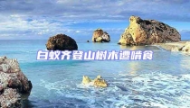 白蟻齊登山樹木遭啃食