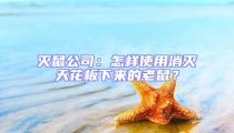 滅鼠公司:怎樣使用消滅天花板下來(lái)的老鼠?
