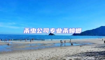 殺蟲公司專業(yè)殺蟑螂