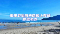 家里衛(wèi)生間天花板上有蟑螂怎么辦