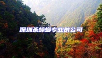 深圳殺蟑螂專業的公司