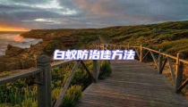 白蟻防治佳方法