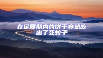 在保質期內的餅干竟然吃出了死蚊子