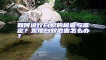 如何進行白蟻的檢查與鑒定?發現白蟻危害怎么辦?