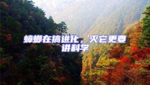蟑螂在搞進化,滅它更要講科學