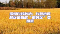 深圳白蟻防治:白蟻出沒林區是白蟻“重災區”要留意
