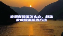 家里有跳蚤怎么辦,教你家庭跳蚤防治方法
