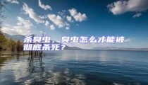 殺臭蟲,臭蟲怎么才能被徹底殺死?