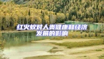 紅火蟻對人類健康和經濟發展的影響