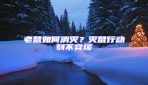老鼠如何消滅?滅鼠行動刻不容緩