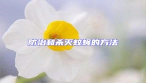 防治和殺滅蚊蠅的方法