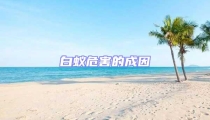 白蟻危害的成因