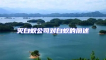 滅白蟻公司對(duì)白蟻的闡述