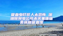 吸血蟲叮咬人太恐怖 深圳除臭蟲公司殺滅集體宿舍床板吸血蟲