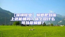 【深圳除蟲】蟑螂爬到床上還能睡嗎？床上放什么可以驅(qū)蟑螂？
