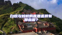 白蟻與螞蟻的首要差異有那些呢?