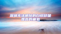 深圳無法根除的白蟻卻是難言的痛處