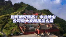 如何消滅跳蚤?專業除蟲公司教大家跳蚤怎么殺