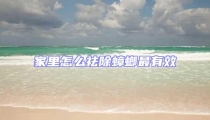 家里怎么祛除蟑螂最有效