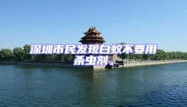 深圳市民發現白蟻不要用殺蟲劑。