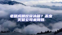 老鼠成精咬穿冰箱?殺蟲滅鼠公司來降妖