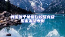 我國多個地區白蟻研究獲國家發明專利