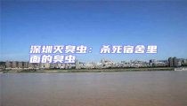 深圳滅臭蟲:殺死宿舍里面的臭蟲