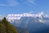 消滅蟑螂最關(guān)鍵的方法是清楚卵鞘