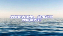 螞蟻危害不小,除蟲公司如何消滅它