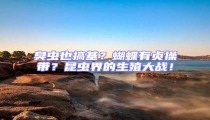 臭蟲也搞基?蝴蝶有貞操帶?昆蟲界的生殖大戰!
