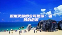 深圳滅蟑螂公司提示:老鼠的危害