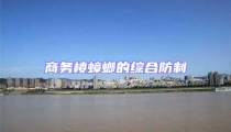 商務樓蟑螂的綜合防制