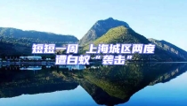 短短一周 上海城區兩度遭白蟻“襲擊”