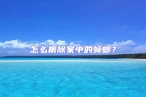 怎么根除家中的蟑螂？