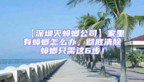 【深圳滅蟑螂公司】家里有蟑螂怎么辦,徹底清除蟑螂只需這6步!