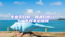 專業滅白蟻:如遇白蟻分飛,市民不必驚慌