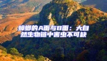 蟑螂的A面與B面:大自然生物鏈中害蟲不可缺