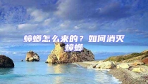 蟑螂怎么來(lái)的？如何消滅蟑螂
