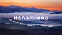 什么方法殺蟲最有效