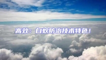 高效:白蟻防治技術特色!